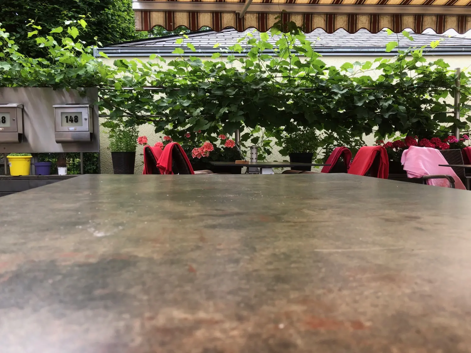 Restaurant Topinambur außen